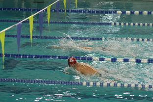 爱游戏平台体验-世界青少年游泳接力锦标赛中国队强势出击，世界游泳锦标赛接力决赛